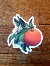 Load image into Gallery viewer, Vintage illustration stickers (Pergamo Paper Goods)