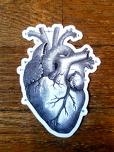 Load image into Gallery viewer, Vintage illustration stickers (Pergamo Paper Goods)