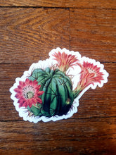 Load image into Gallery viewer, Vintage illustration stickers (Pergamo Paper Goods)