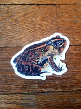 Load image into Gallery viewer, Vintage illustration stickers (Pergamo Paper Goods)