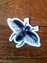 Load image into Gallery viewer, Vintage illustration stickers (Pergamo Paper Goods)