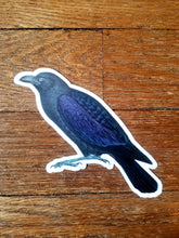 Load image into Gallery viewer, Vintage illustration stickers (Pergamo Paper Goods)