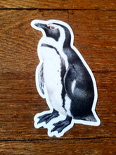 Load image into Gallery viewer, Vintage illustration stickers (Pergamo Paper Goods)