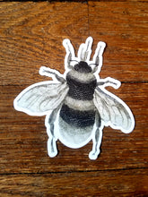 Load image into Gallery viewer, Vintage illustration stickers (Pergamo Paper Goods)