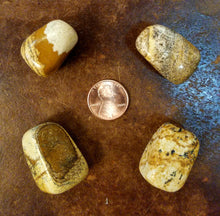Load image into Gallery viewer, Picture jasper (tumbled)