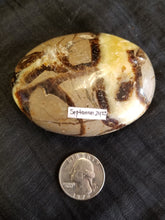 Load image into Gallery viewer, Septarian palm stone