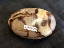 Load image into Gallery viewer, Septarian palm stone
