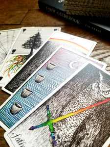 The Wild Unknown Tarot Set