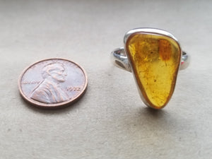 Amber ring (size 9.5)