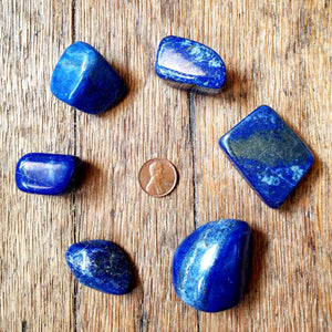 Lapis Lazuli (tumbled)
