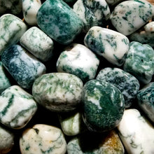 Load image into Gallery viewer, Tree agate (tumbled)
